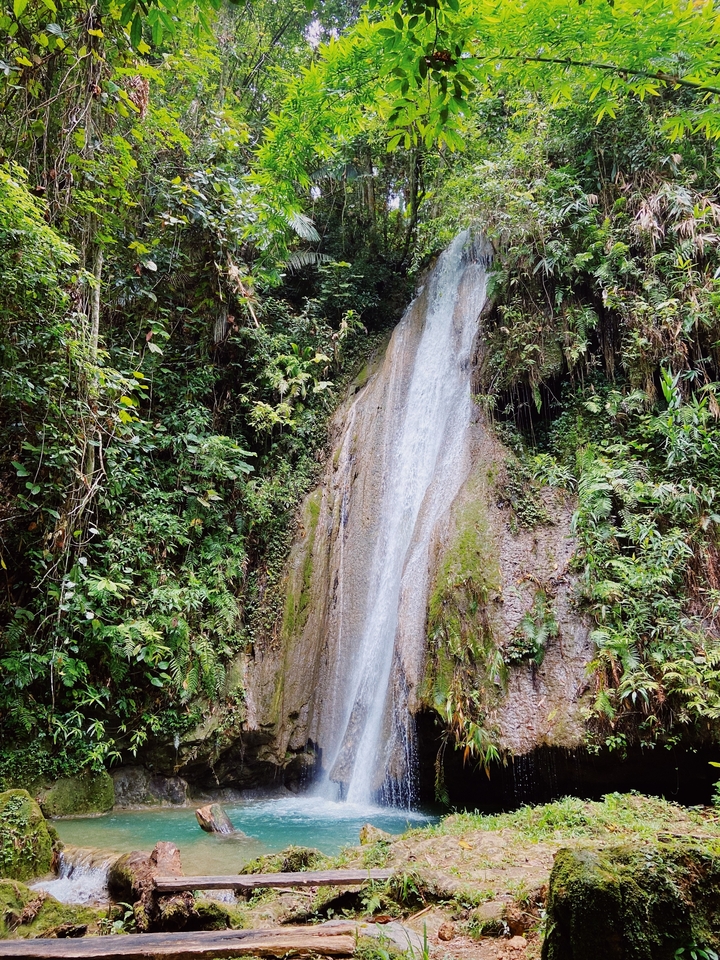 Tall waterfall in a lush forest environment