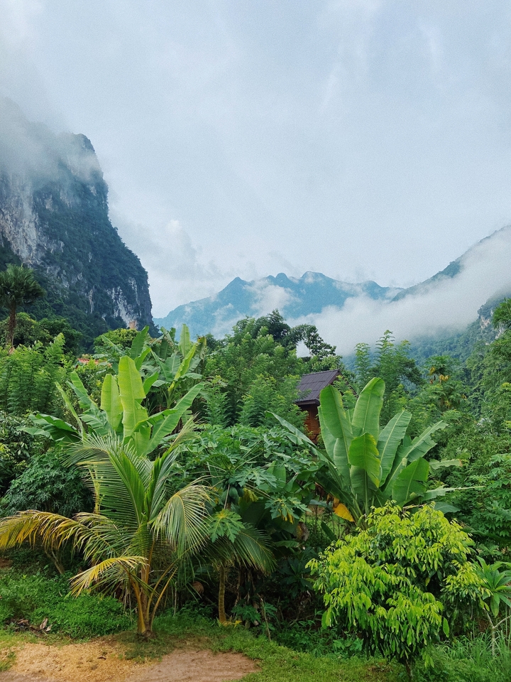 Lush green landscape with mountains and mist