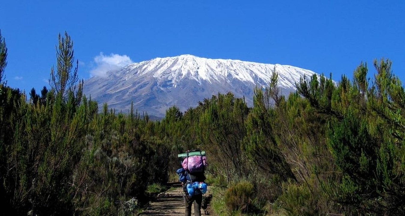 Randonneur avec un sac à dos marchant vers une montagne enneigée.