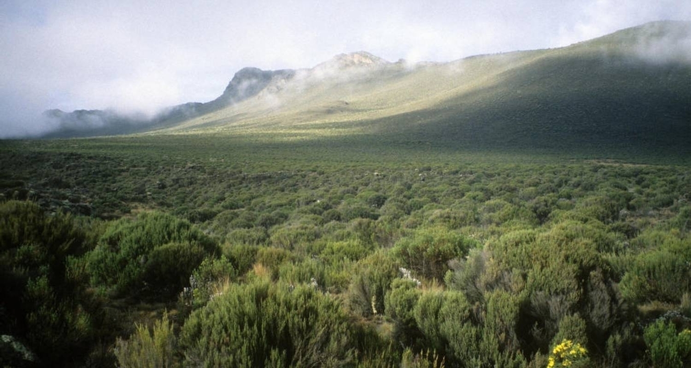 Un vaste paysage naturel avec de la verdure et des montagnes lointaines.