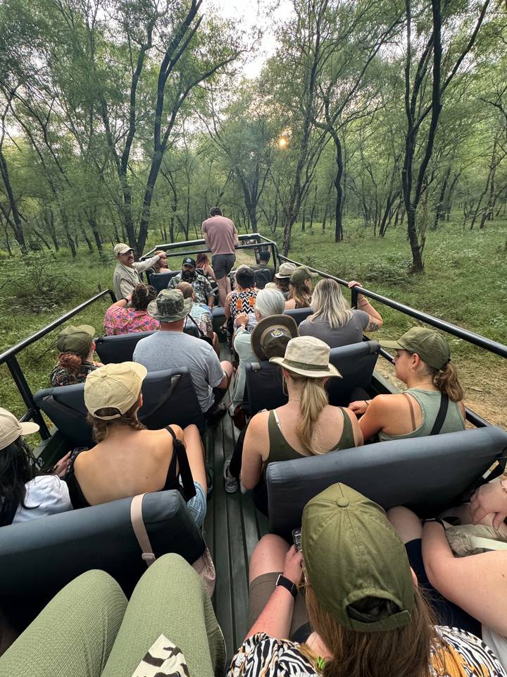 Groupe de personnes dans un véhicule de safari.