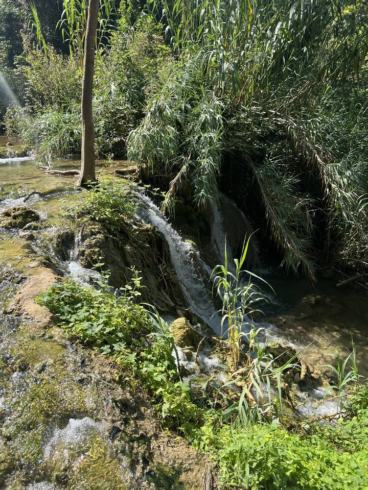 Petite cascade entourée de verdure.