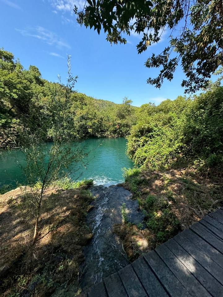 River with lush greenery on a bright day.