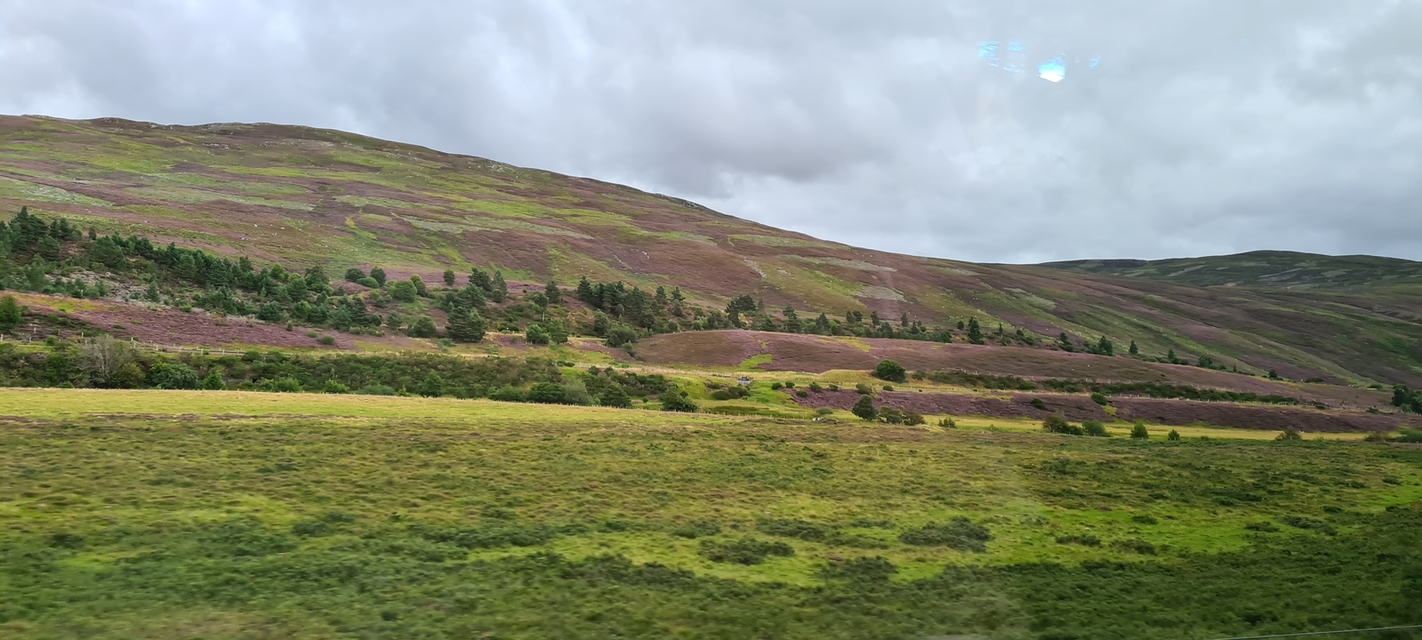 Un paysage vallonné avec des zones de vert et de brun.