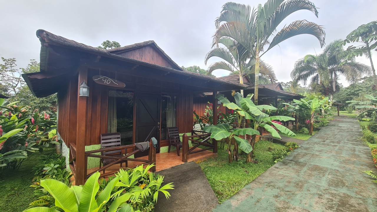 Rustic wooden cabins surrounded by tropical vegetation.