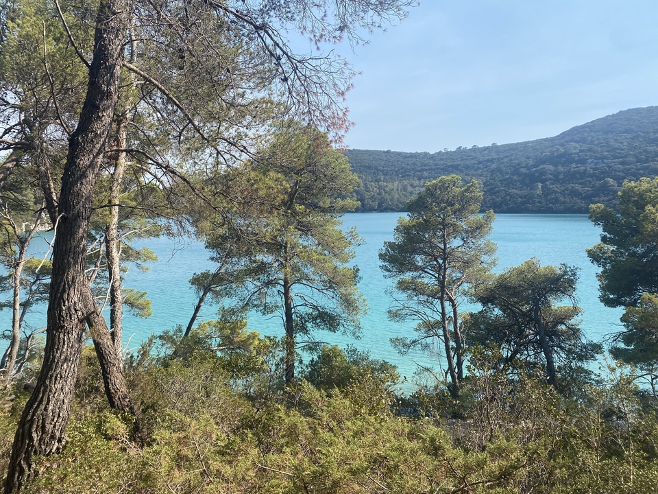 Vue d'un lac bleu visible à travers une rangée d'arbres.