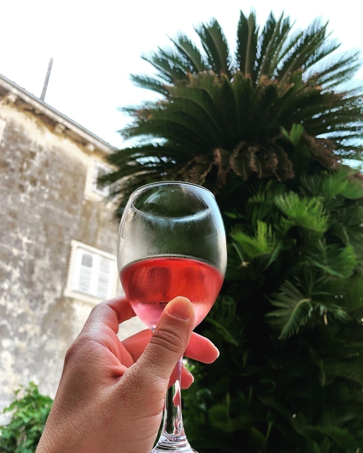 Personne tenant un verre de vin avec un feuillage tropical en arrière-plan.