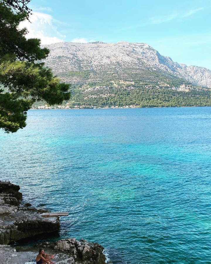 Belle mer turquoise avec un littoral boisé d'arbres.