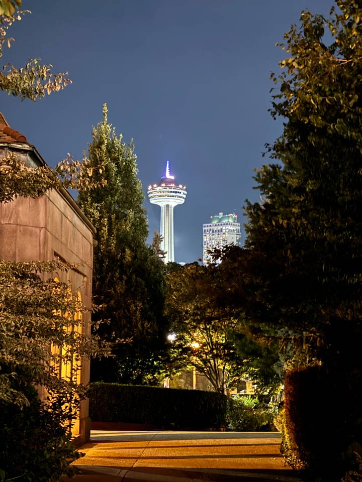 Tour Skylon illuminée la nuit avec les arbres environnants.