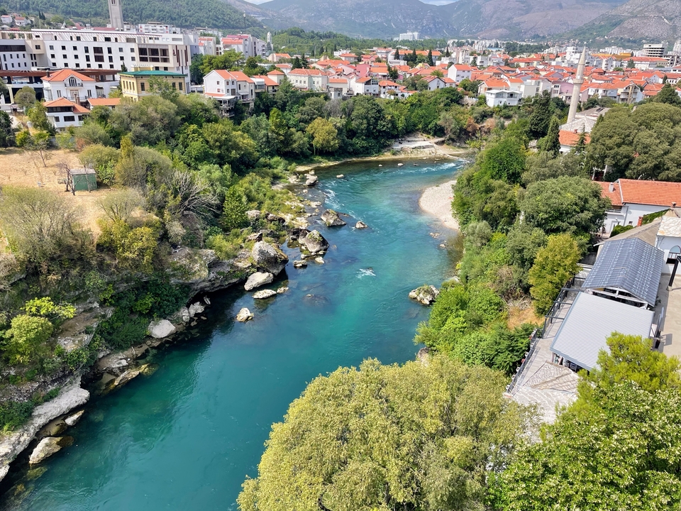 Rivière coulant à travers un feuillage luxuriant.