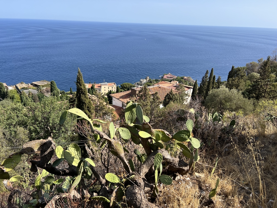 Vue d'une ville côtière avec des cactus et des arbres.