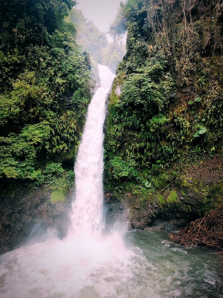 Grande cascade entourée d'une végétation luxuriante.