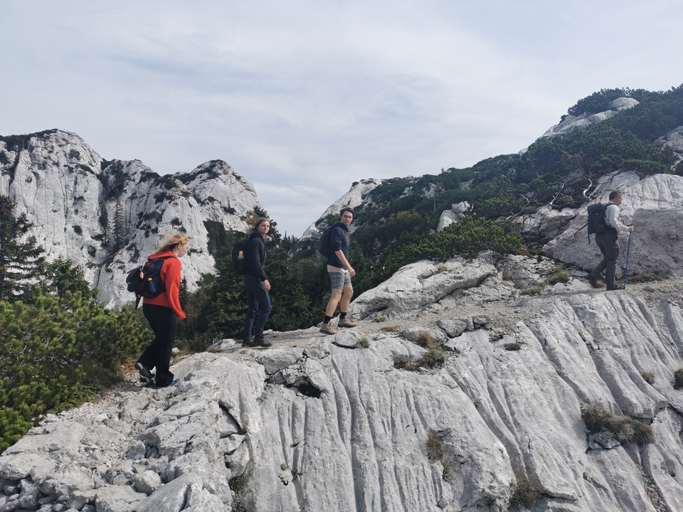 Randonneurs sur un sentier de montagne rocailleux.