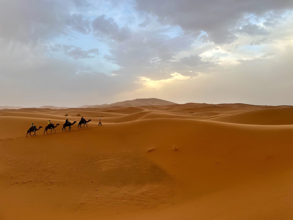 Silhouettes de personnes chevauchant des chameaux à travers les dunes de sable