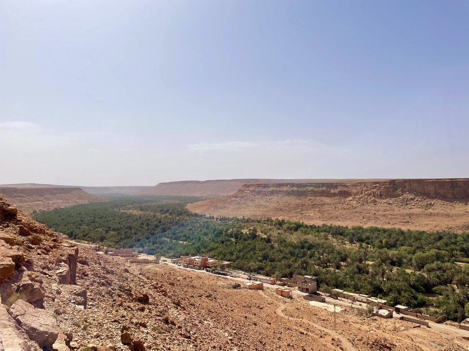 Vallée désertique avec palmiers et falaises rocheuses