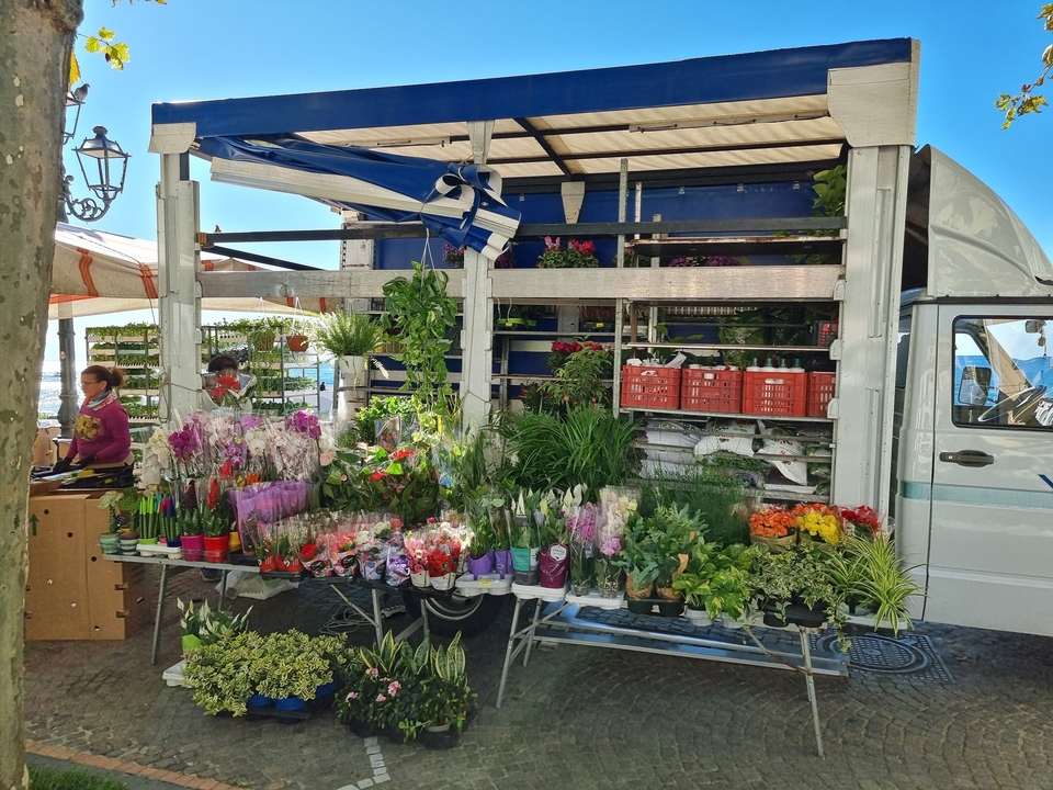Des étals de fleurs et de plantes sur un camion de marché exposent une flore éclatante.