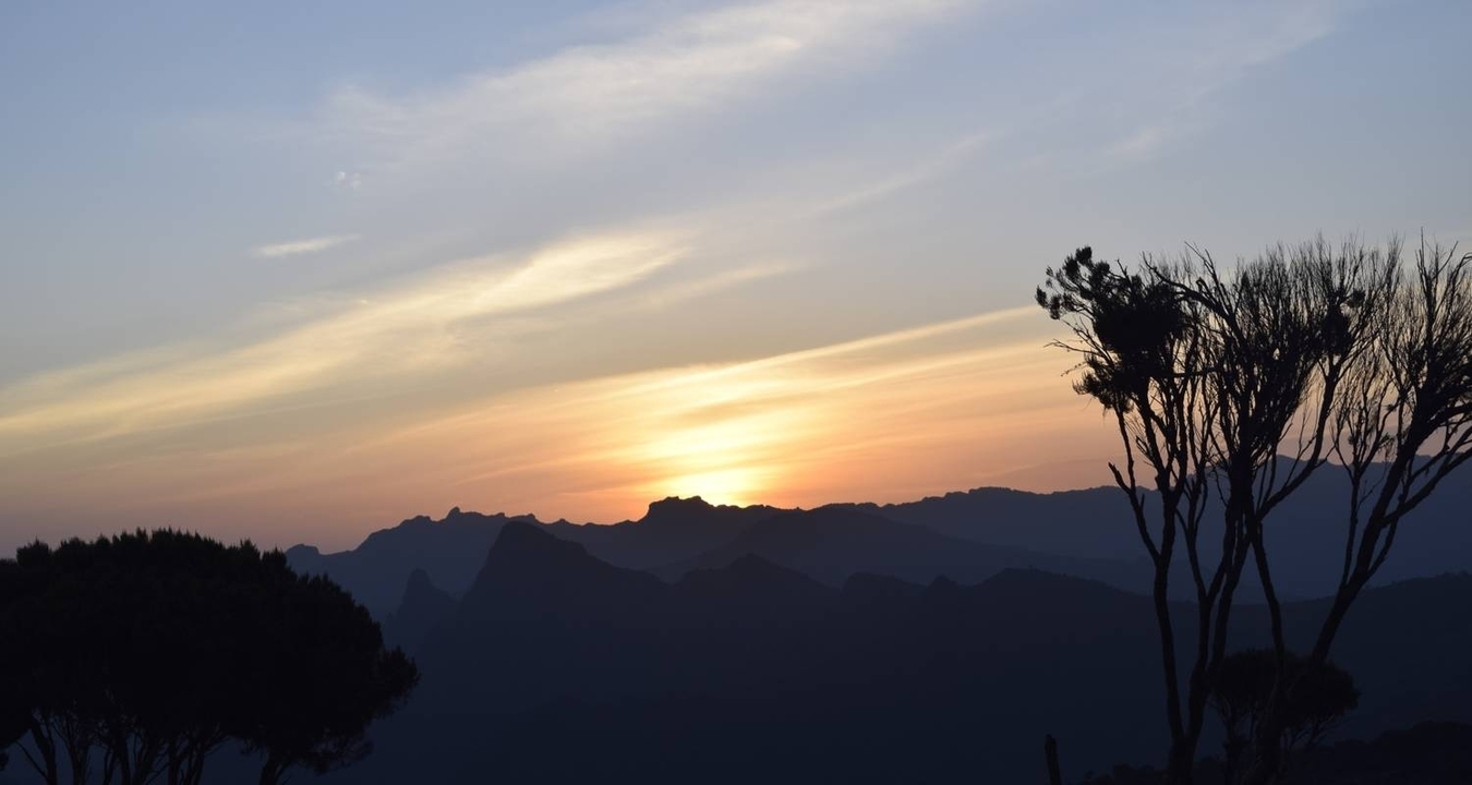 Coucher de soleil avec silhouettes d'arbres et silhouette de montagne.