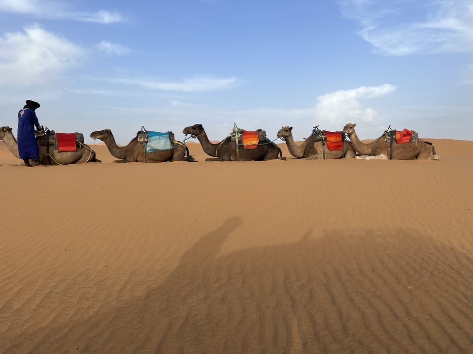 Caravane de chameaux se reposant dans un paysage désertique.