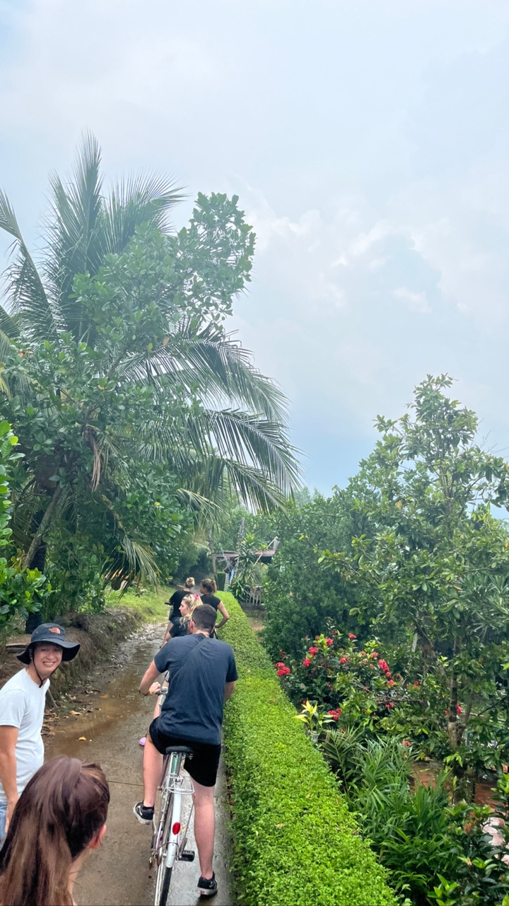Des gens marchant à travers un feuillage tropical dense et verdoyant avec des palmiers.