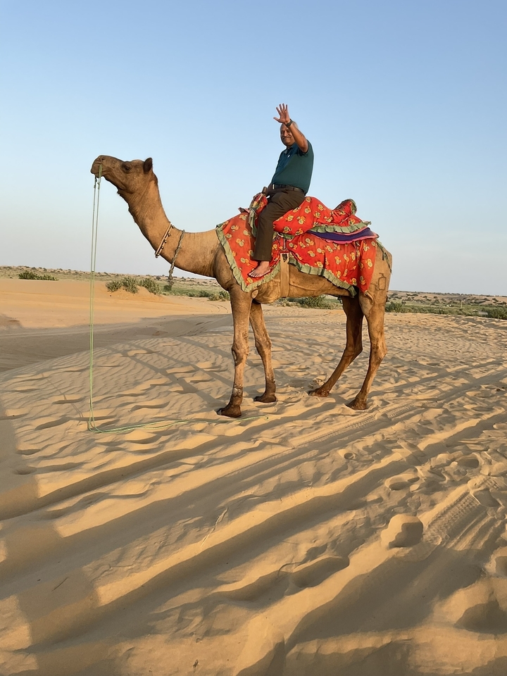 Personne montant un chameau dans le désert sous un ciel bleu dégagé.