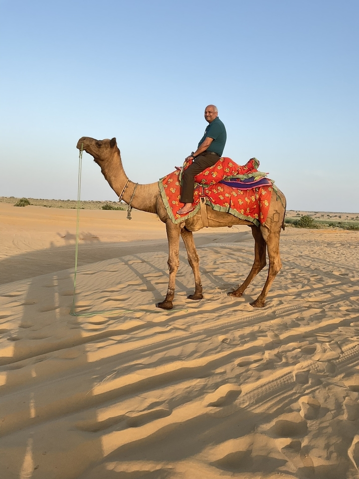 Personne se relaxant sur un chameau dans un paysage désertique sablonneux.