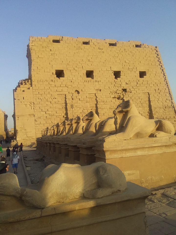 Rangée de statues de sphinx devant de grands murs de temple.