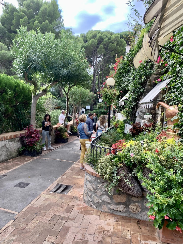 Des touristes explorent un jardin avec des plantes colorées.