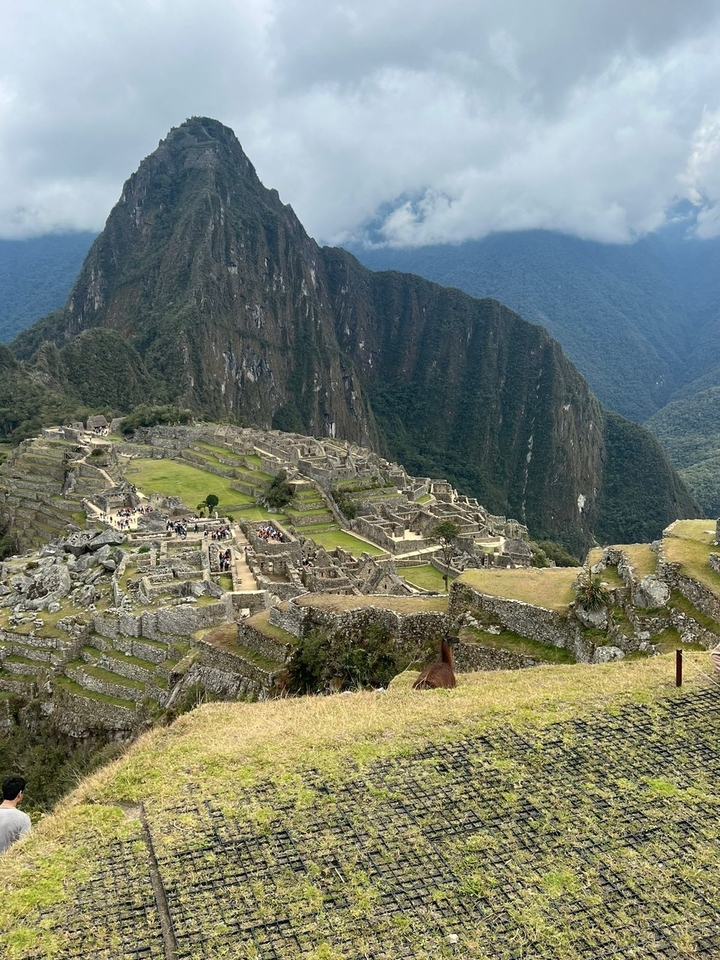 Aperçu des ruines du Machu Picchu.