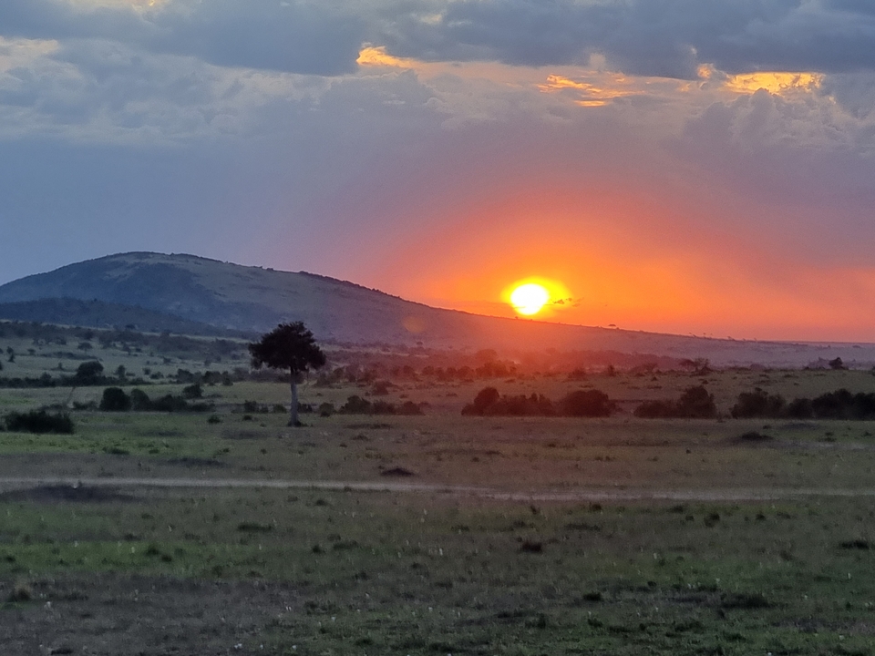 Sunset over a savannah landscape.