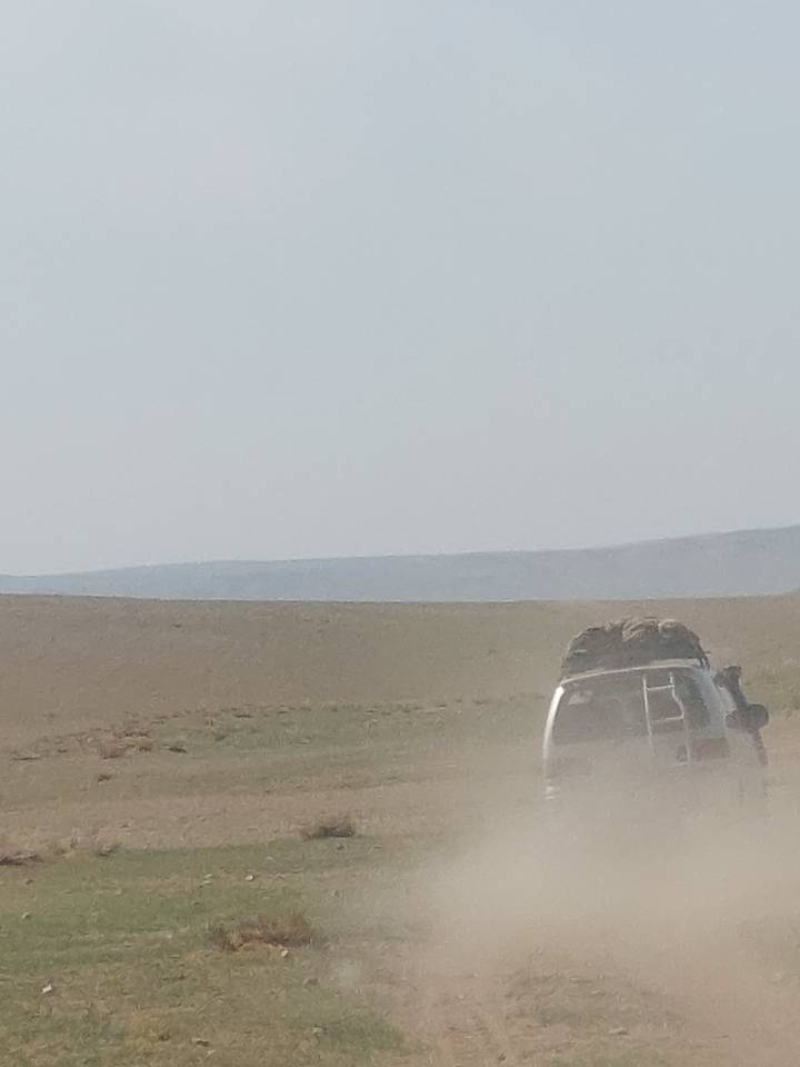 Une camionnette dans un paysage vaste et ouvert.