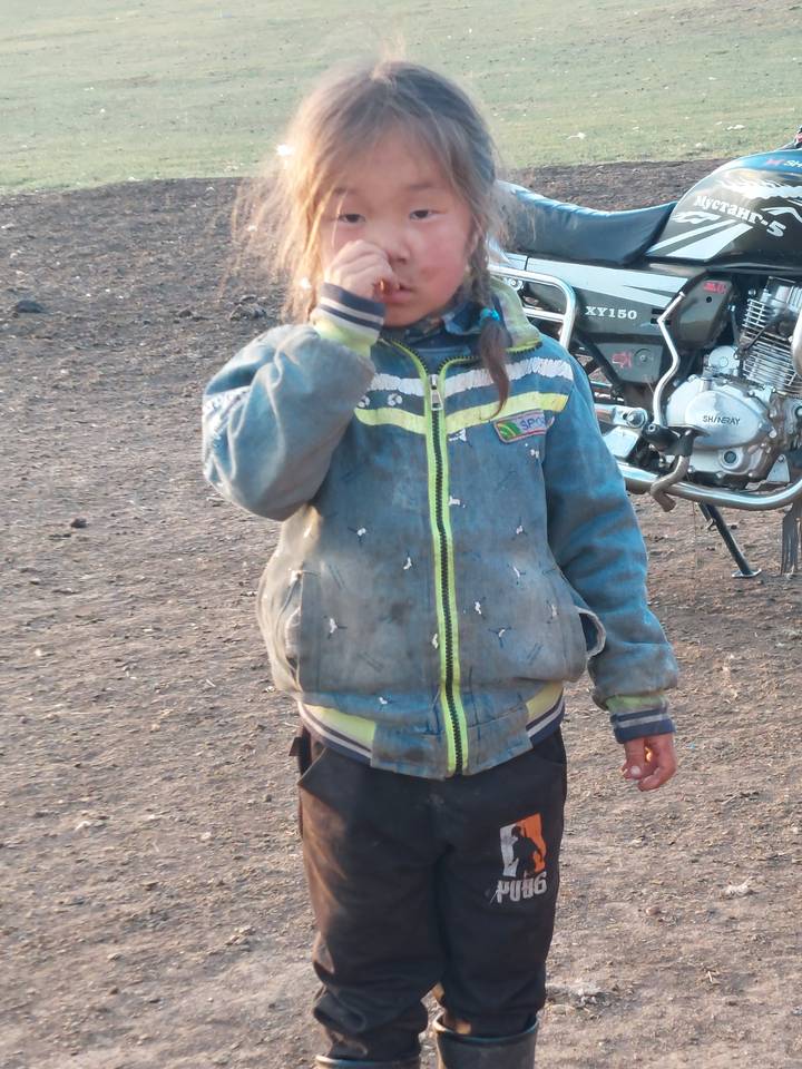 Campement de yourtes mongoles au coucher du soleil.