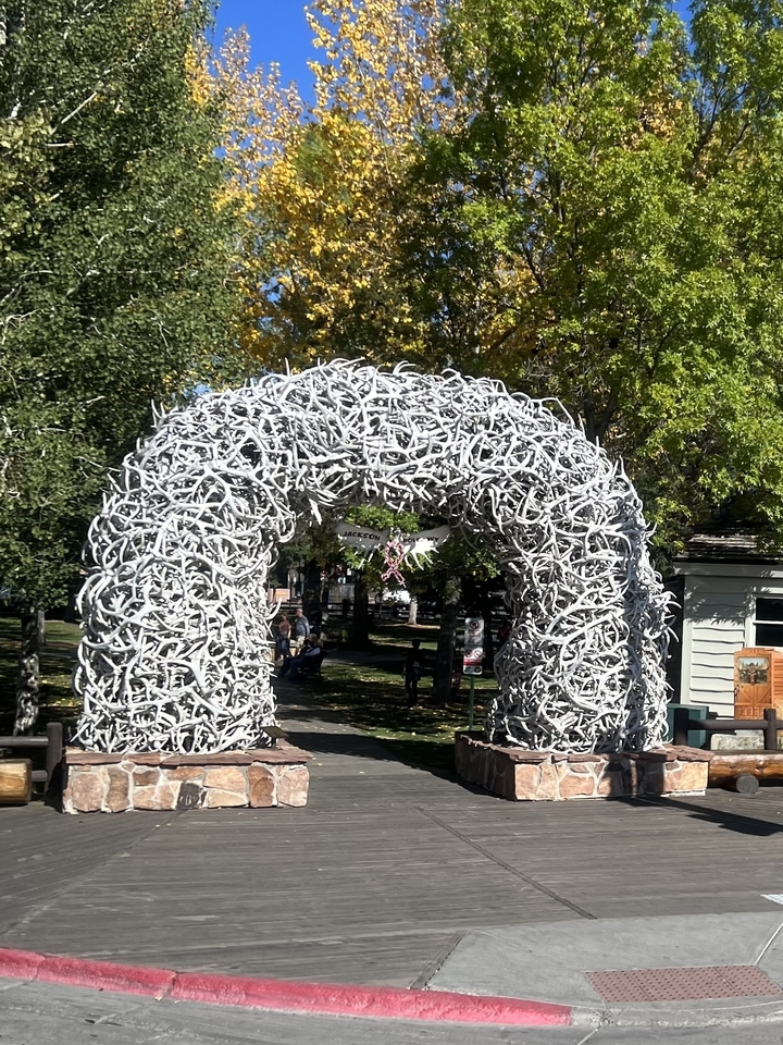 Arche faite de bois de cerfs avec de la verdure autour.