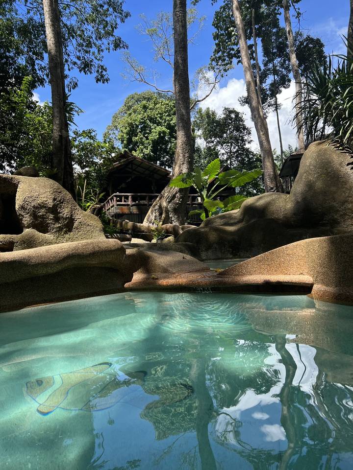 Natural pool with clear water and surrounding trees.