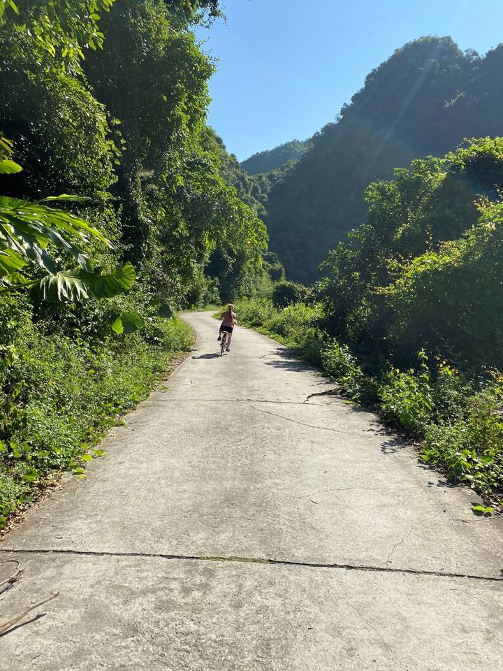 Personne faisant du vélo sur un sentier pavé à travers une végétation luxuriante.