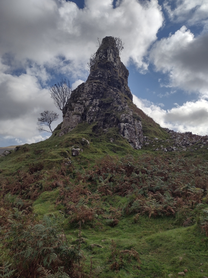 Colline rocheuse avec des arbres clairsemés et de la verdure
