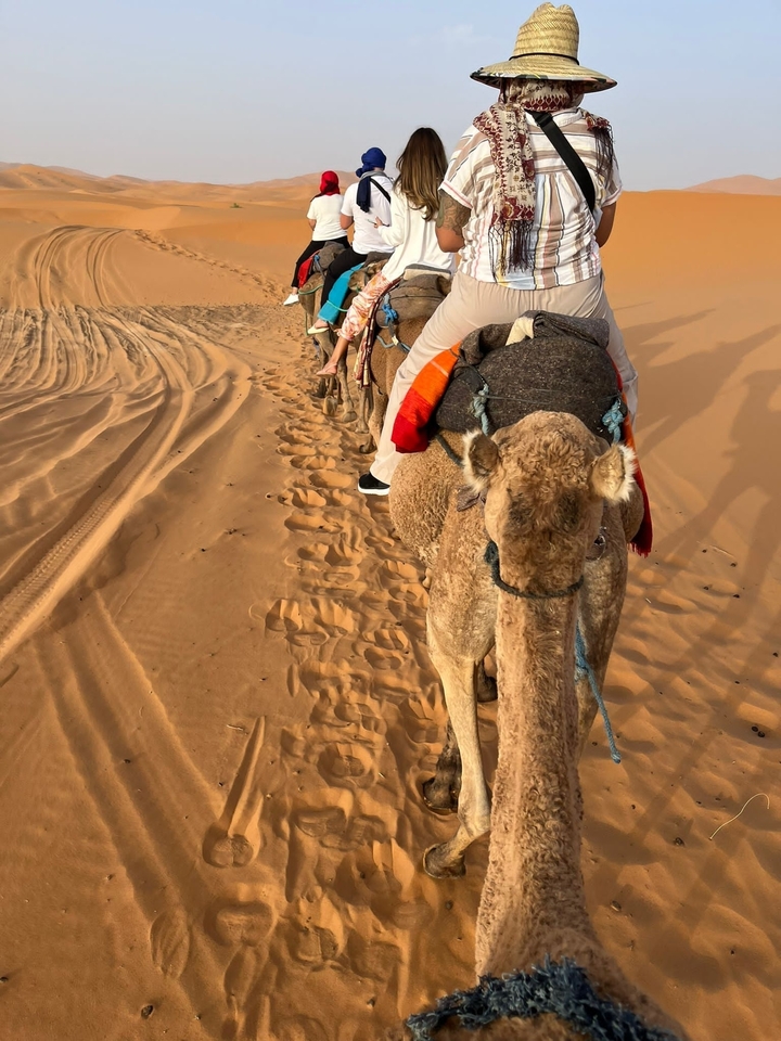 People riding camels in the desert.
**French translation:**
Des gens qui montent des chameaux dans le désert.