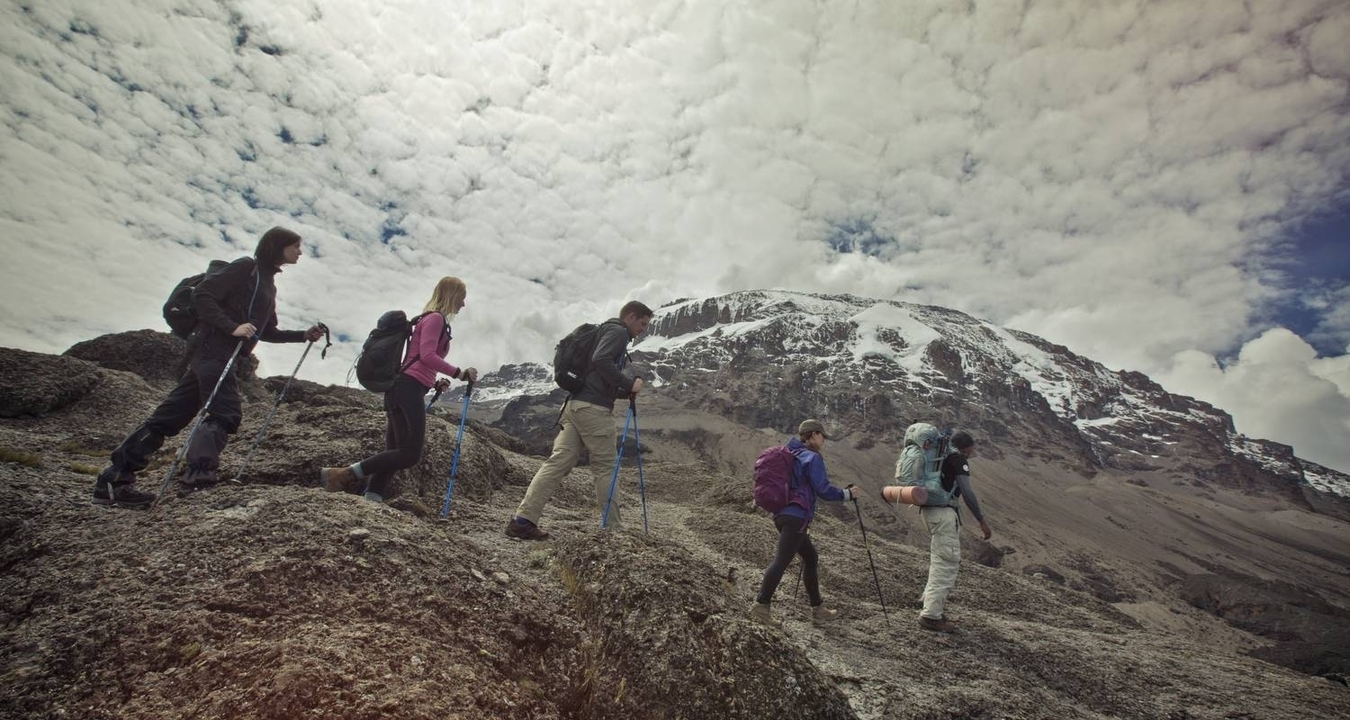 Groupe de randonneurs gravissant un sentier de montagne.