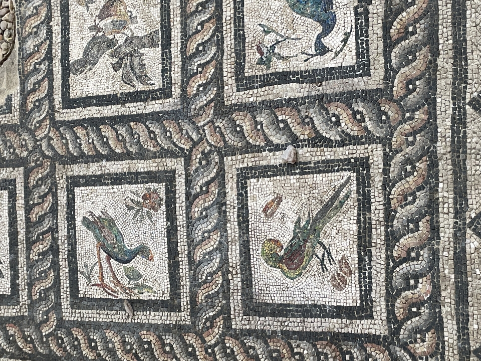 Mosaïque aux motifs complexes représentant des oiseaux