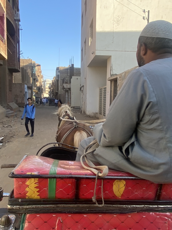 Traverser une rue avec une calèche tirée par des chevaux et des gens qui marchent.