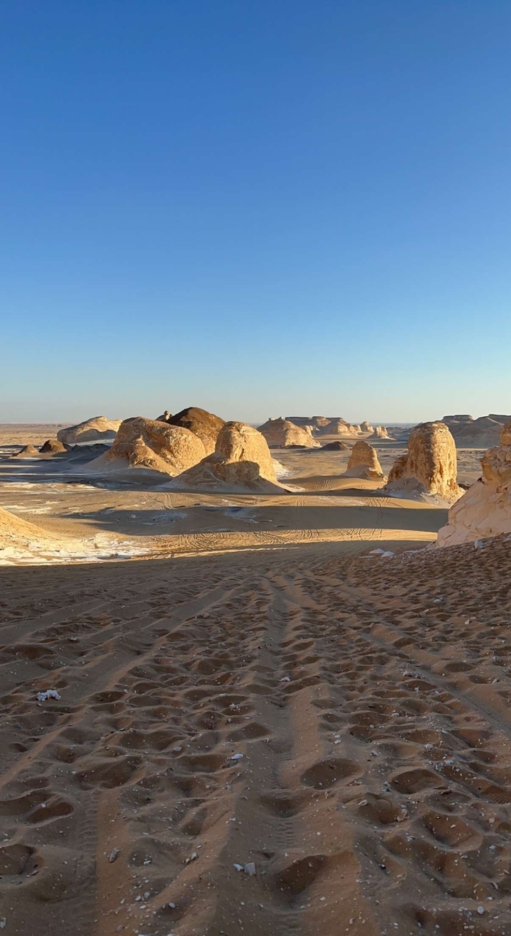 Paysage désertique ensoleillé avec des formations de sable uniques.