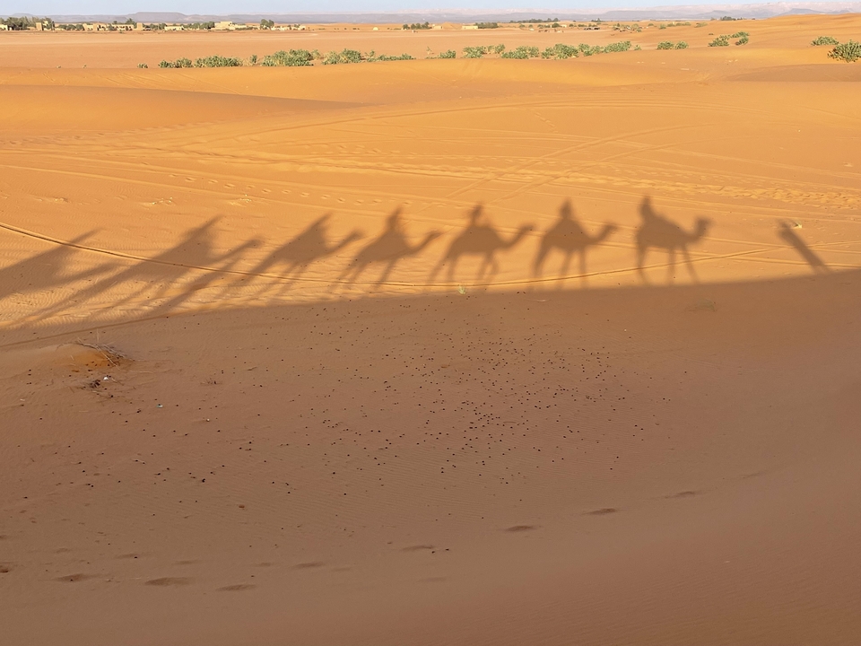 Schatten von Kamelen und Reitern auf dem Wüstensand.