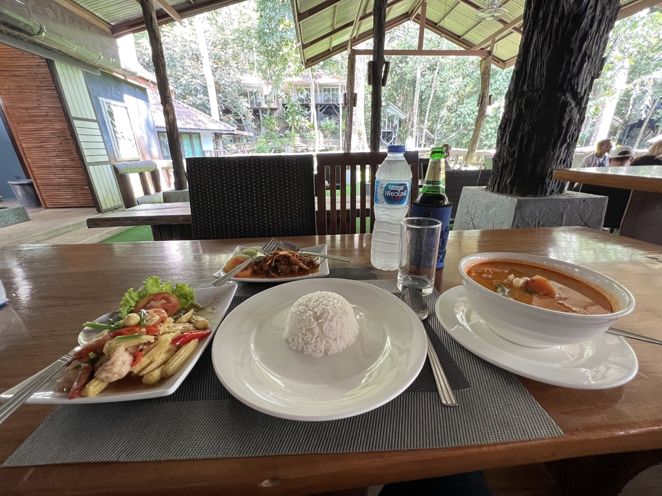 Table avec une variété de plats dans un cadre forestier.