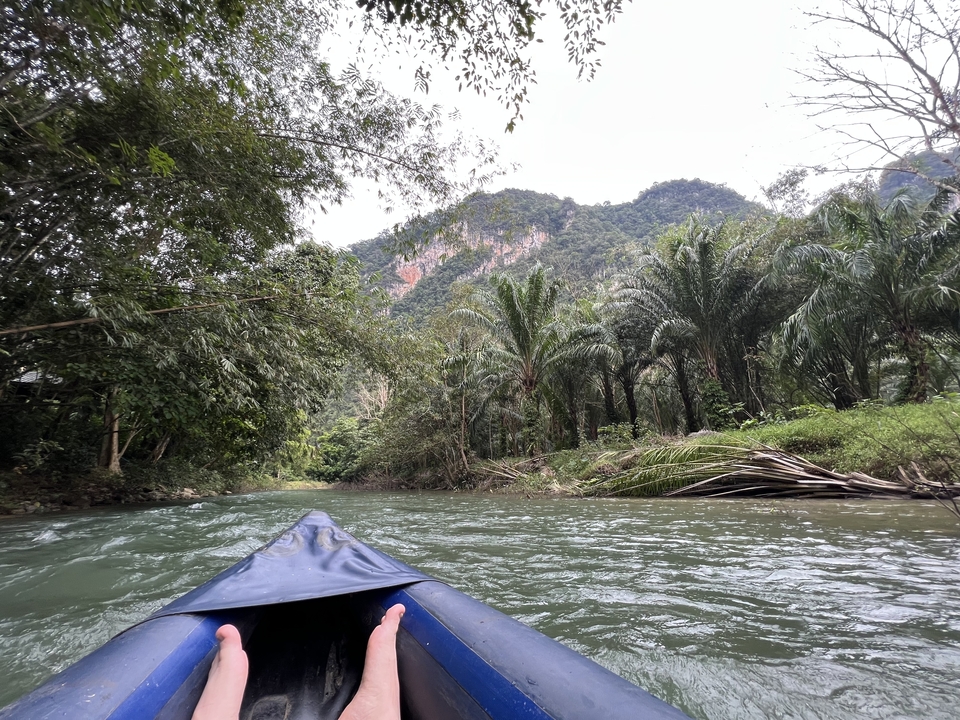 Kayak in a tropical river with lush vegetation on both sides.