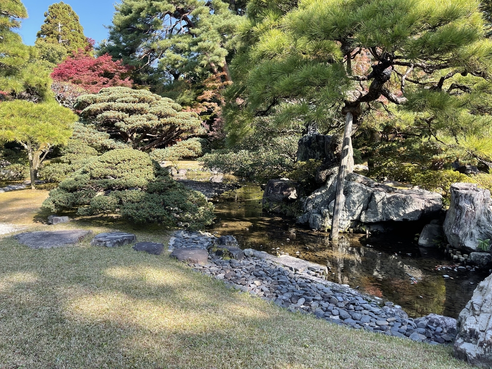 A Japanese garden with a small stream running through.