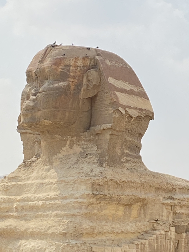 Tête du Grand Sphinx de Gizeh contre un ciel dégagé.