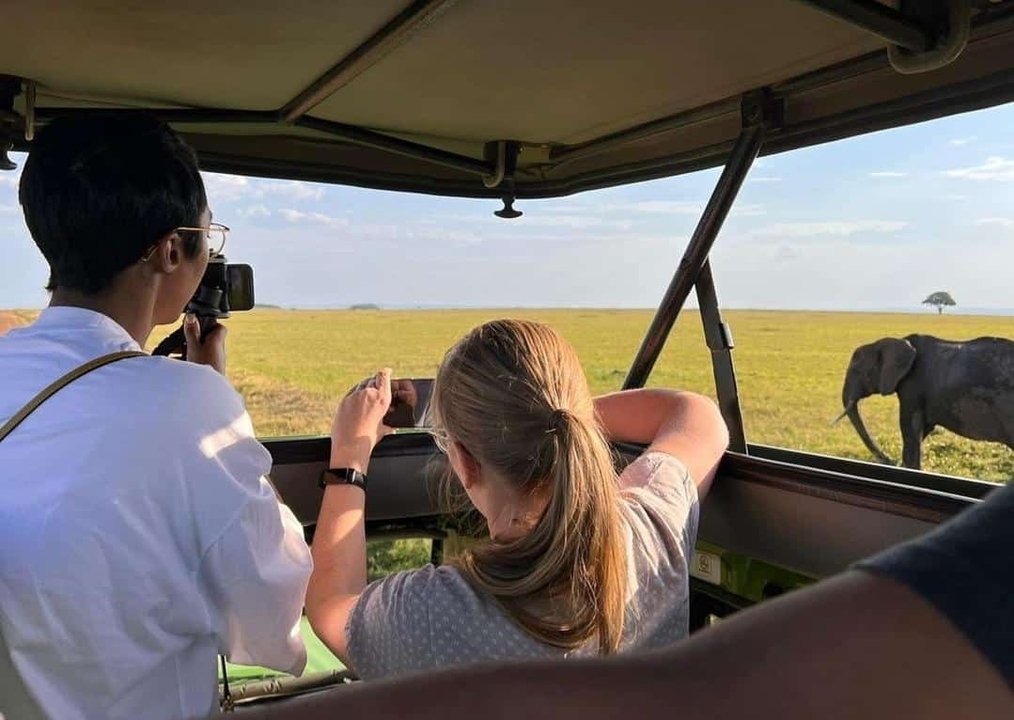 Des gens en safari observant un éléphant dans la savane.