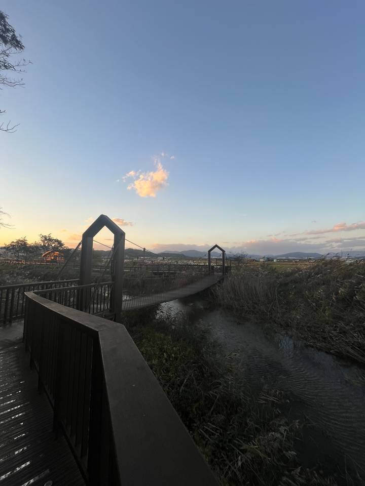 Un sentier dans un cadre naturel au coucher du soleil.