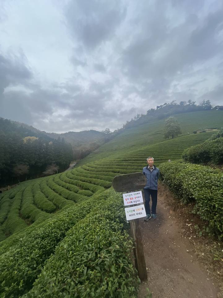 Personne debout sur un sentier dans une plantation de thé.