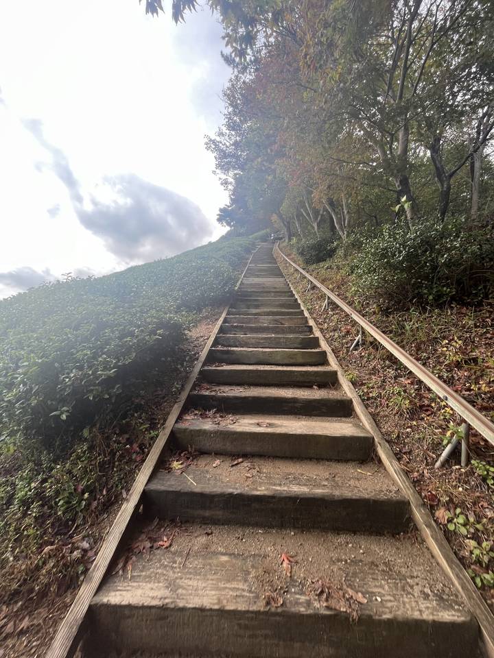 Un escalier dans un cadre naturel extérieur.