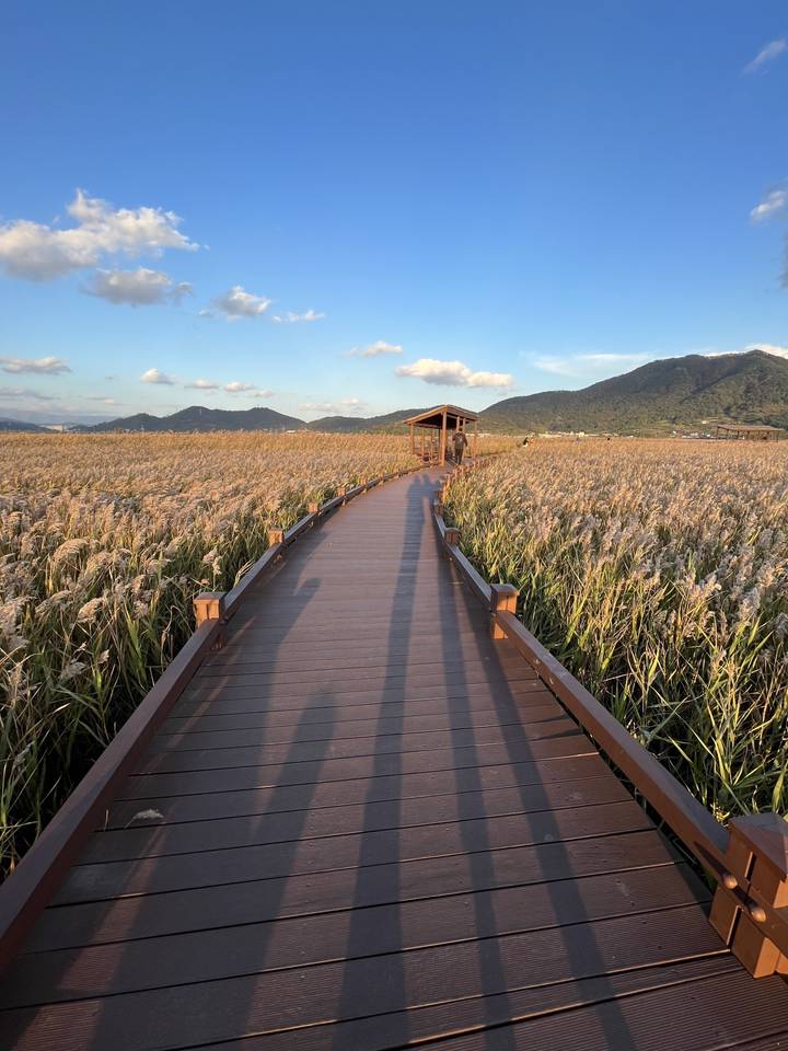 Un passage piétonnier dans un paysage naturel pendant la journée.